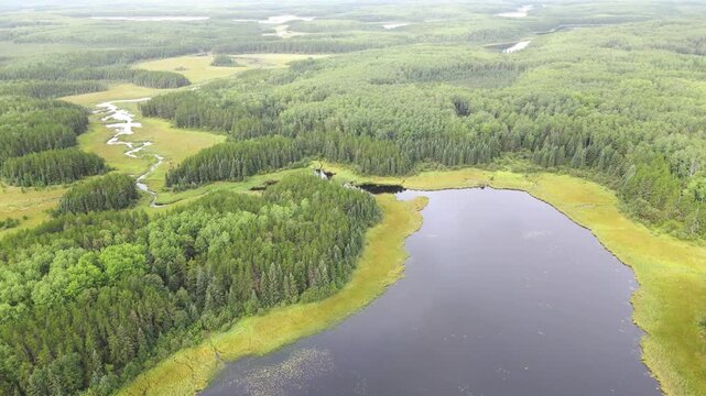 Drone flying high above a lust green forest, lake and stream with mist in the distance
