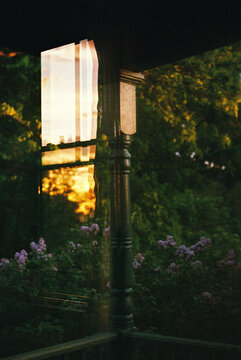View out home window at sunset with lilacs