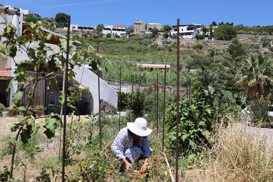 Person tending vegetable plot in hillside village