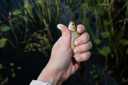 Person Holds Fish in Hand Near Water With Plants Around