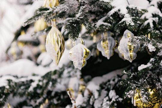 Winter Decorations on Tree in Snowy Setting