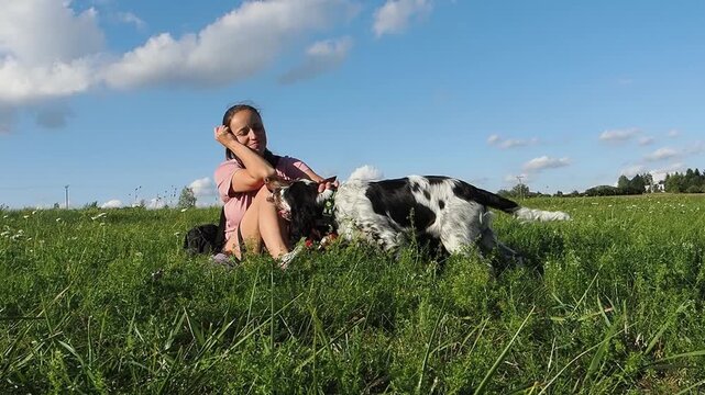 Woman Petting Doberman and English Springer Spaniel Puppy Running Across a Natural Green Meadow in Slow Motion