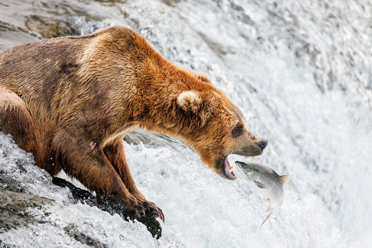 Stiting and Fishing