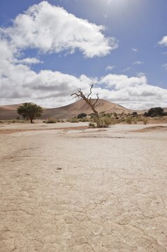 Pan of the Sossusvlei in the Namib Desert, Namibia, Africa