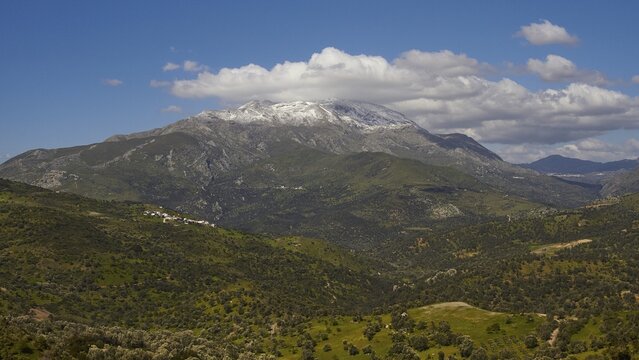 Spring in Crete, green meadows, olive groves, snow-capped mountains, blue sky, white clouds (cumulus), Amari Basin, Amari, Psiloritis, Ida Massif, Central Crete, island of Crete, Greece