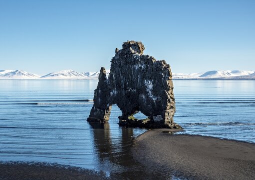 Hvitserkur, Elephant Rock on lava beach, natural basalt rock formation, Northwestern Region, Iceland