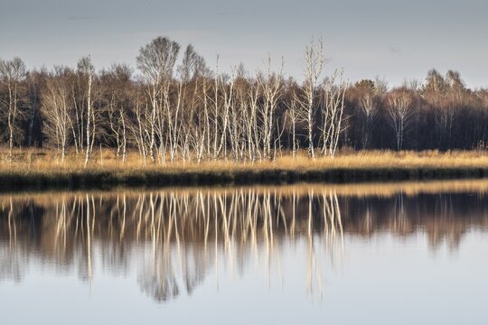 Moorland, Emsland, Lower Saxony, Germany