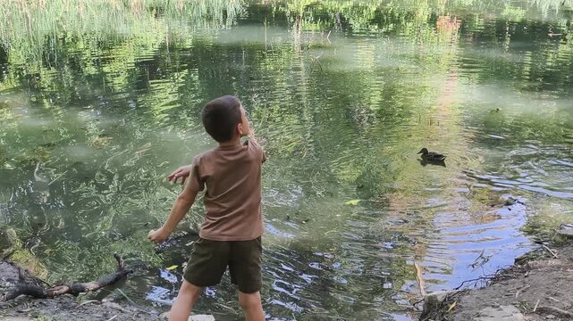 Harmful feeding habits: young boy feeding ducks with bread at scenic forest pond. Environmental impact of feeding wild birds shows why processed food damages ecosystem balance and water quality.