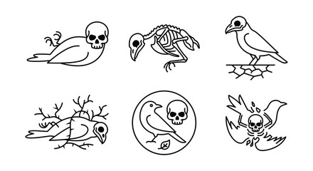 Obraz premium Line art illustrations depict birds skulls and skeletal remains on a white background