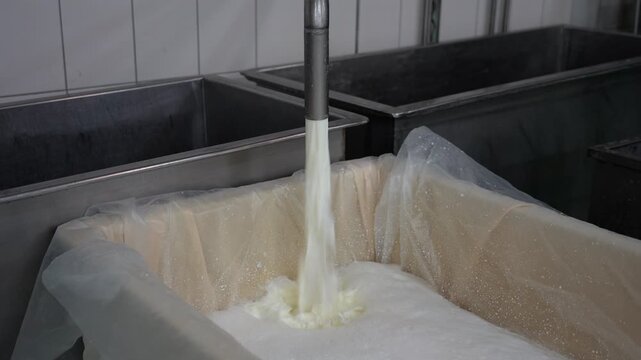 Milk Flowing Through Cheesecloth During Cheese Production