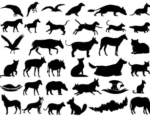 Obraz premium Set of various mammal and bird silhouettes isolated on white background