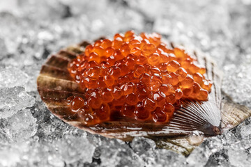 Red salmon roe heaped inside open scallop shell. Glossy translucent eggs rest on crushed ice bed. Close-up macro shot shows shiny texture and seafood luxury © Alla