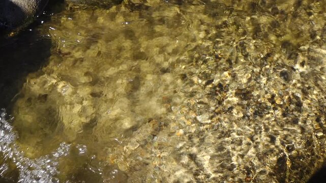 crystal water on fresh stream at vintage village in Shirakawago, Japan.