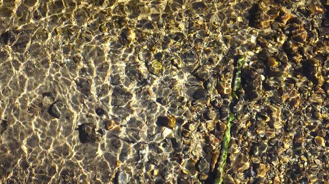 crystal water on fresh stream at vintage village in Shirakawago, Japan.