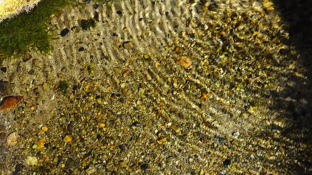 crystal water on fresh stream at vintage village in Shirakawago, Japan.