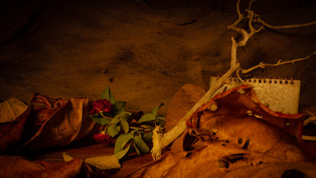 Rustic still life with dried rose and calendar in warm low key lighting.