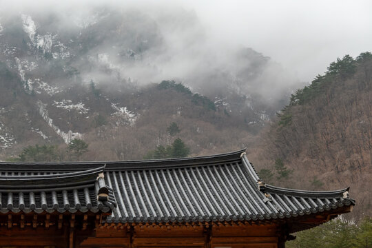 Close-up of the roof of a traditional Korean Temple with a forested and misty mountain backdrop, Seoraksan National Park, South Korea