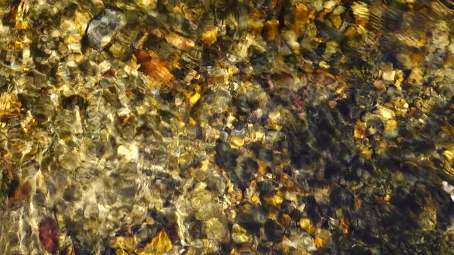 crystal water on fresh stream at vintage village in Shirakawago, Japan.