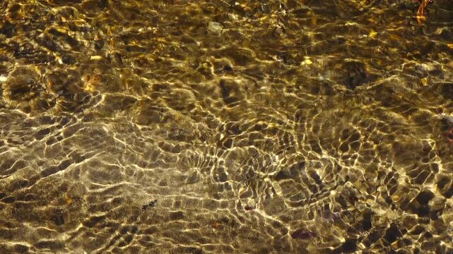 crystal water on fresh stream at vintage village in Shirakawago, Japan.