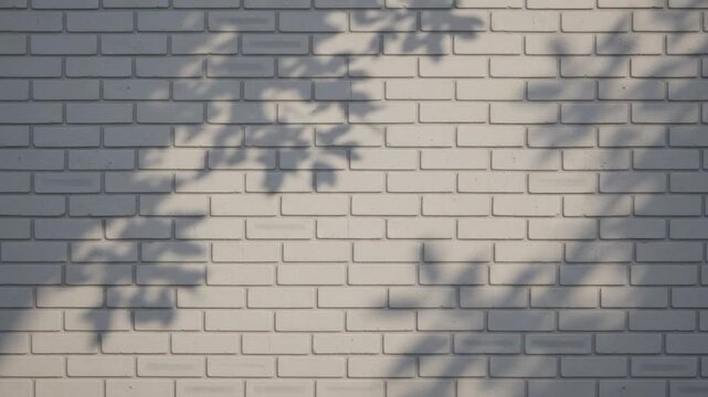 Aesthetic Natural Tree Leaf Shadows Swaying on White Brick Wall Background 4K
