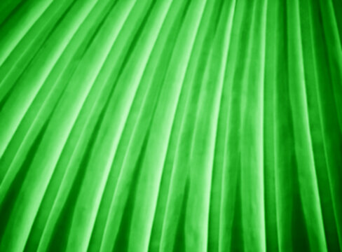 Green pleats abstract illustration background
