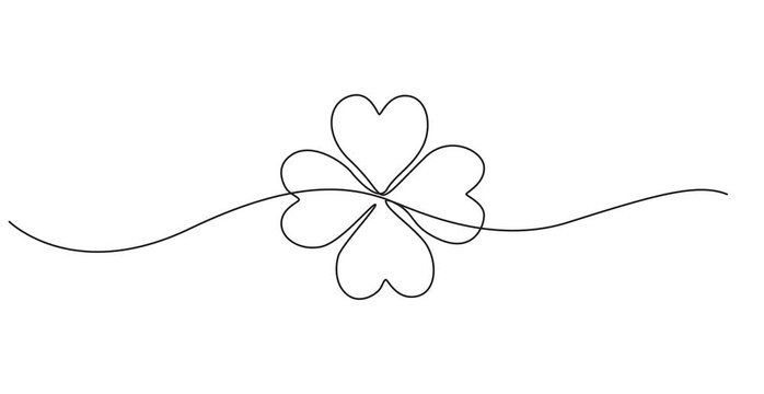 Continuous one line drawing of four leaf clovers sign icon single art three leaves clover on white background minimalist shamrock and sustainability symbol 4k animation video, pro design