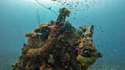 Coral-Covered Aircraft Engine Surrounded by Fish © Kaitlind