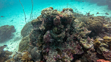 Coral Bommie Rising from a Sandy Channel © Kaitlind