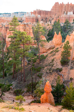 Rock formations along the Queen's Garden Trail in Bryce Canyon National Park, Utah
