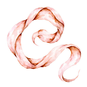 A watercolor painting depicts a flowing ribbon with delicate curves and shades of rose brown curved rose brown texture paint wash artistic