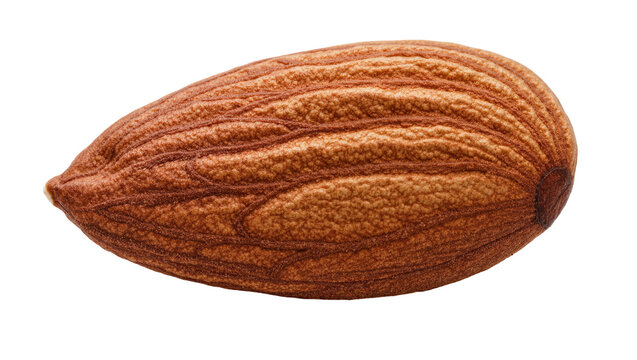 Single whole almond with textured brown skin, isolated on transparent background