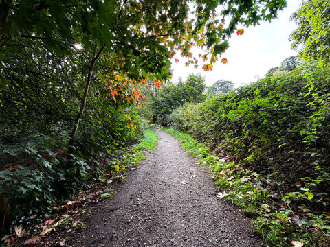 A narrow dirt path winds through a vibrant, green forest. The leaves overhead display a mix of green and orange hues, suggesting the onset of autumn in Holmfield, Halifax, UK