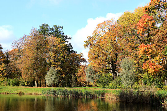 Lake surrounded by red and yellow foliage, with its reflection in the water on sunny day. Autumn park in Russia in September, picturesque autumn park landscape,vibrant autumn banner