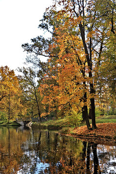 Lake surrounded by red and yellow foliage, with its reflection in the water on sunny day. Autumn park in Russia in September, picturesque autumn park landscape,vibrant autumn banner