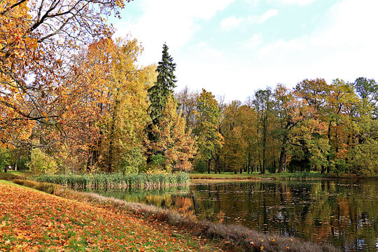 Lake surrounded by red and yellow foliage, with its reflection in the water on sunny day. Autumn park in Russia in September, picturesque autumn park landscape,vibrant autumn banner