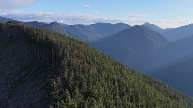 Stunning Mountain Landscape with Green Forest and Clear-Cut Areas in British Columbia, Canada