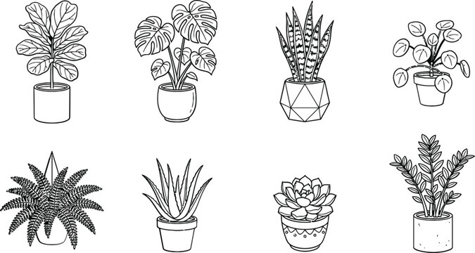 Set of eight potted houseplants, line of fiddle leaf fig, monstera, snake plant, pilea, fern, aloe vera, succulent, and zz plant