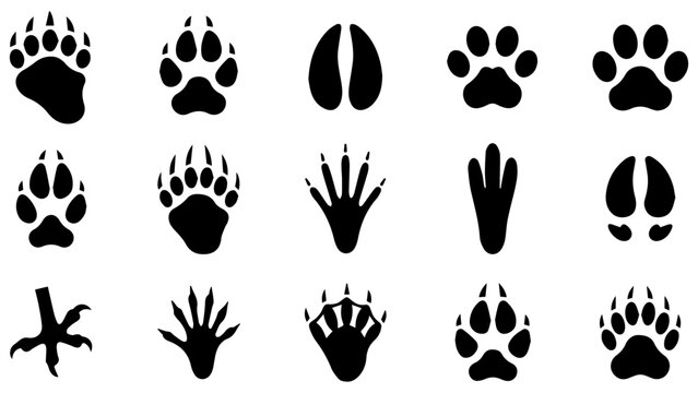 Set of black animal paw prints and wildlife footprints icons including bear wolf and bird tracks