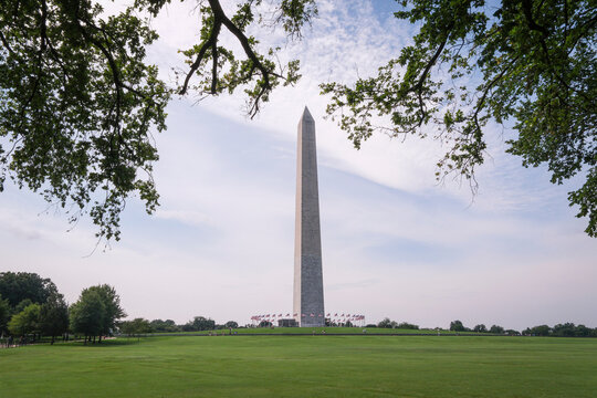 Washington Monument framed by the trees of the National Mall in Washington, District of Columbia, United States