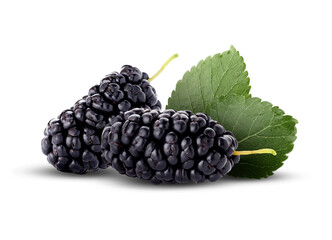 Sweet black mulberries and green leaves isolated on white © New Africa