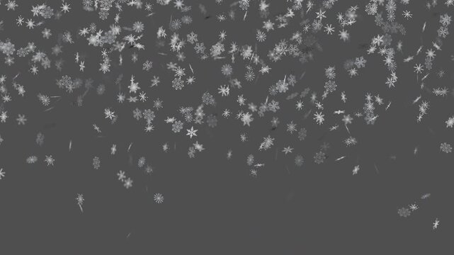 White Snowflakes Falling Gently Isolated on a Solid Dark Background