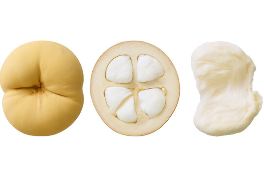 Santol Fruit Whole Cross Section and Peeled Pulp Isolated