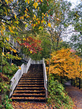 Escalier en bois dans le parc avec des rampes en m&eacute;tal et des arbres en automne	
