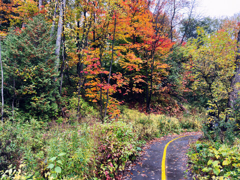 Un sentier dans la for&ecirc;t en automne, Qu&eacute;bec, Canada
