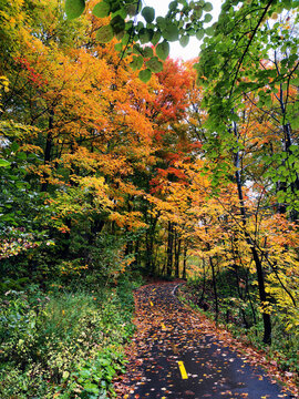 Un sentier dans la for&ecirc;t en automne, Qu&eacute;bec, Canada
