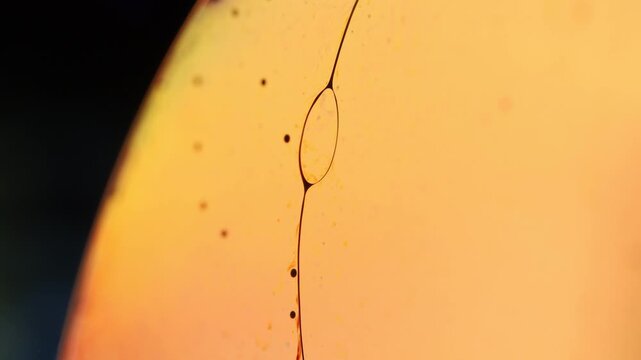 Golden liquid film surface with micro-bubble loop on vertical Plateau border strand. A low-key macro photograph capturing an oval micro-bubble node embedded along a delicate vertical Plateau border