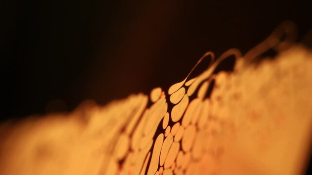 Warm amber liquid film rim with elongated buoyant convection droplets and trailing tendrils. A low-key macro photograph capturing a sharp diagonal Plateau border glowing in warm golden amber backlight