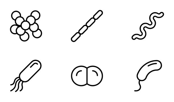 Bacteria icons set with cocci, bacilli, spirilla and vibrio for science and medicine
