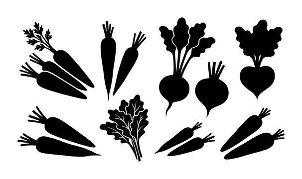 Carrot and beet silhouettes set with leafy greens for healthy eating and organic food logos