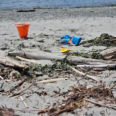 Orange beach bucket and toys among driftwood on a rocky shoreline © Jessica